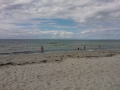 WP_000418 (2)